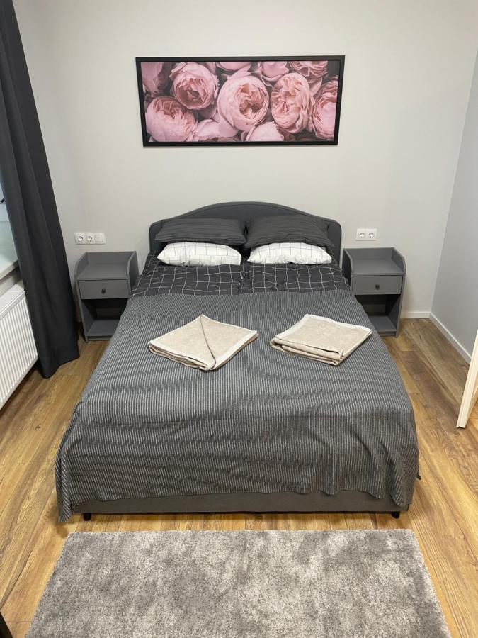 Cozy Leilighet VNO
