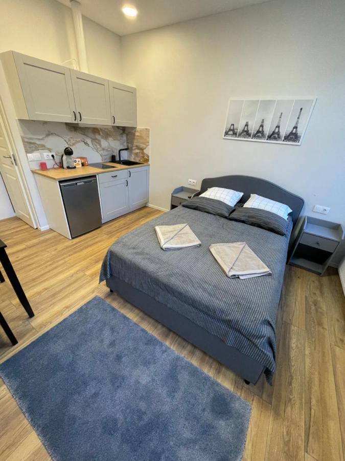 Cozy Leilighet VNO